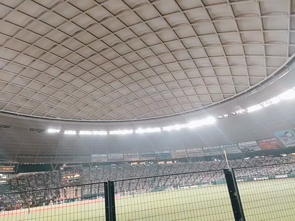 ベルーナドームへ！楽天イーグルスわしほーの記事動画