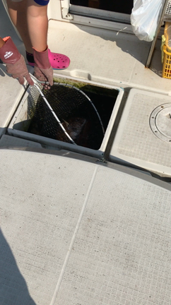 15月14日 釣果の記事動画