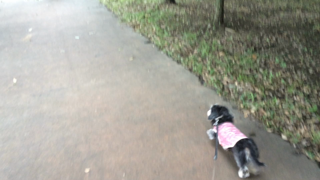 びん沼公園の記事動画