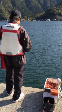 今日の蒲江*\(^o^)/*の記事動画