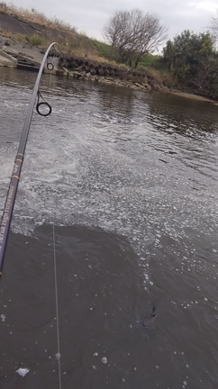 彩の川虎バスシリーズ2023始動戦の記事動画