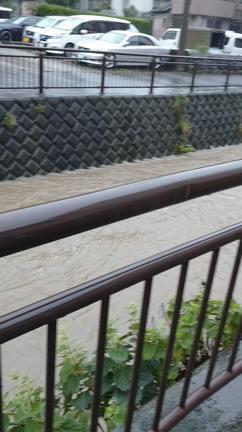 今日の横須賀の記事動画