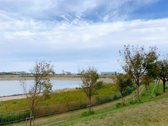 ２つの夢が叶いました！夢実現は行動あるのみの記事動画