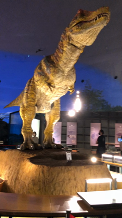 気ままな旅５日目〜福井県〜の記事動画