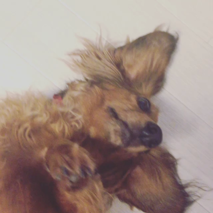 なんとの記事動画