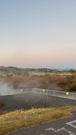 今日のワンコの記事動画