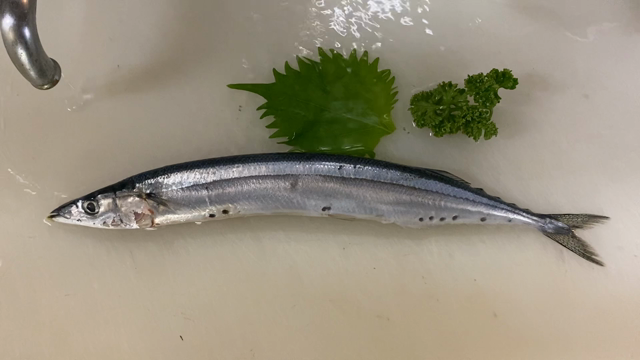 新サンマ[今年初買い]の記事動画