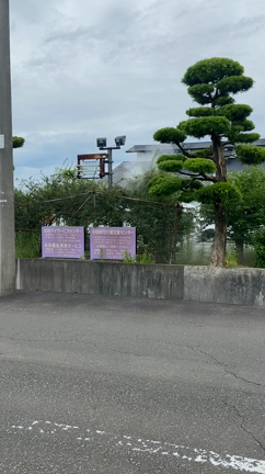 永田デイサービスセンターなどの植木の消毒の記事動画