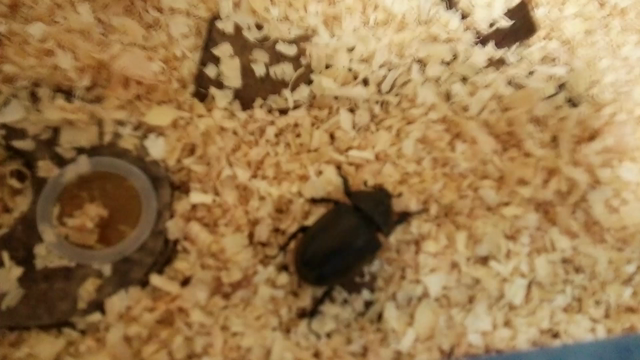 まだまだの記事動画