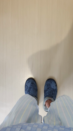 今日は何する！？の記事動画