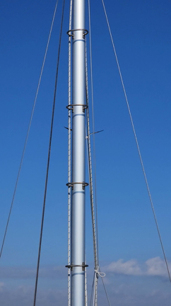 イシモチ (新年は2日より)の記事動画