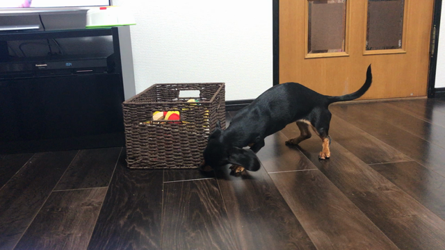 おもちゃとってなのーの記事動画