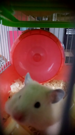 体に優しく。の記事動画