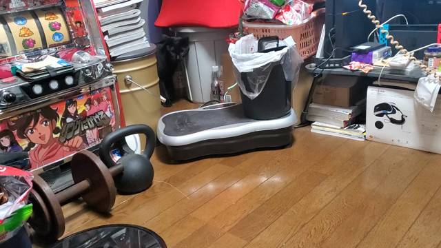 【日常】パトロール強化でニャフンと言わせる！【猫事】の記事動画