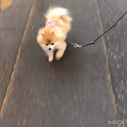 ことの経緯⑤（最終回）の記事動画