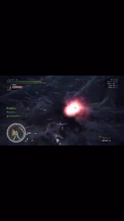 クエスト⑨ 金獅子の記事動画