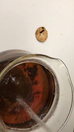 少林禅茶の記事動画