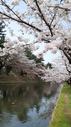 おでかけの記事動画