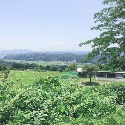 セイズファームのワインの記事動画