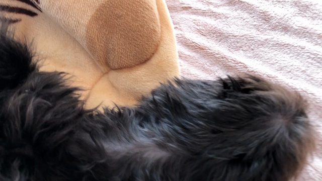 添い寝中♡の記事動画