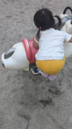 ごっつぁんですの記事動画