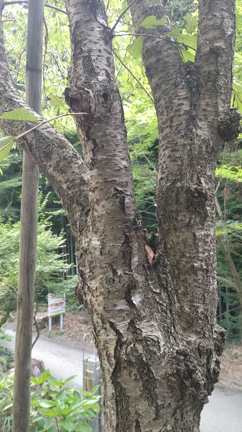 一掃！夏の汚れ！の記事動画