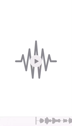 新年早々、涙の記事動画