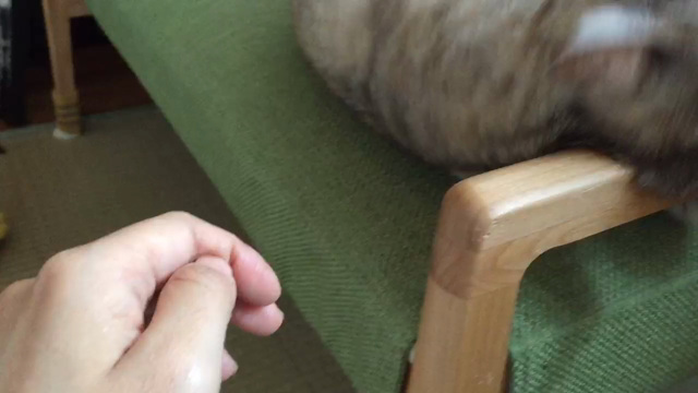 魅惑の手の記事動画