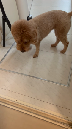 メイクまで落とせる、シャワーヘッドの記事動画