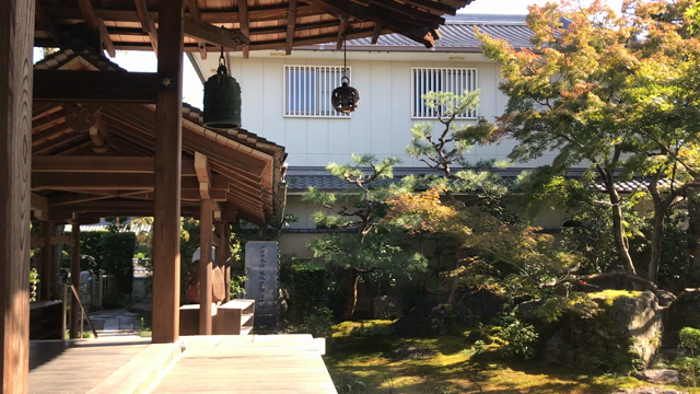 わたしの癒しスポット（10月28日　パンダの日）の記事動画