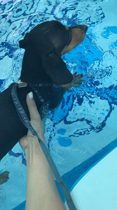 ばーちゃんも泳ぐよ♡の記事動画