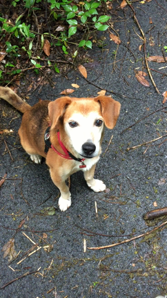 ジョンについての記事動画