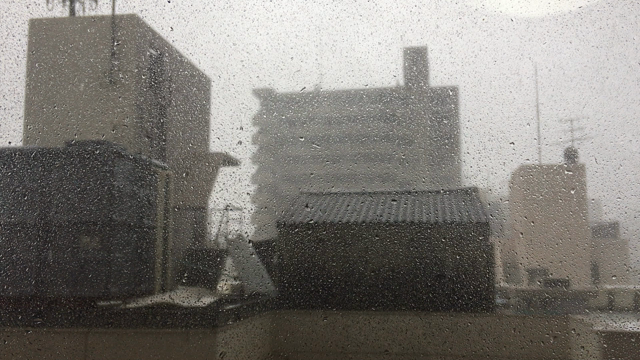 台風！！！の記事動画
