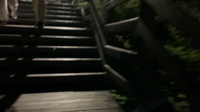 韓国に行ってきました！No.1の記事動画