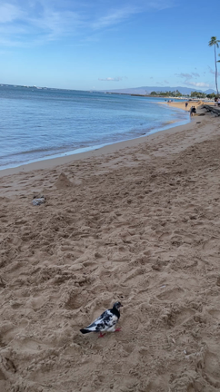 ★Sunday★の記事動画