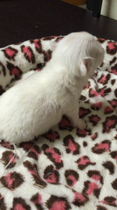 次世代…そして目標へ向かっての記事動画