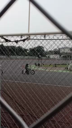 動画の記事動画