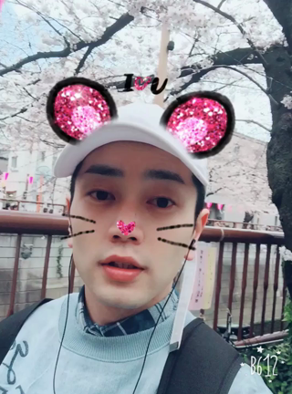 ★花見★の記事動画