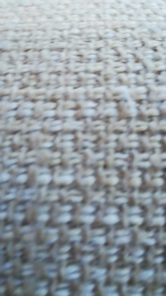 今日のルーちゃんの記事動画