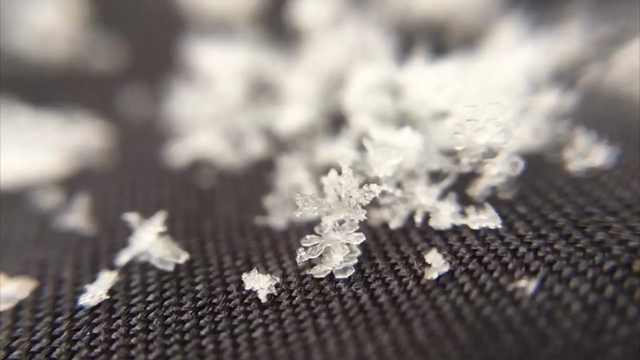 天からの手紙の記事動画