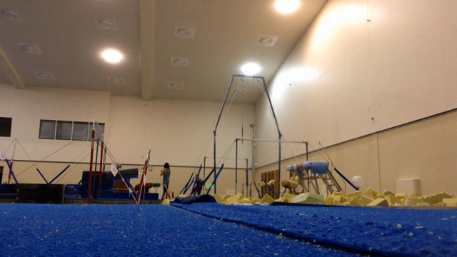 最近の写真やら動画やらの記事動画