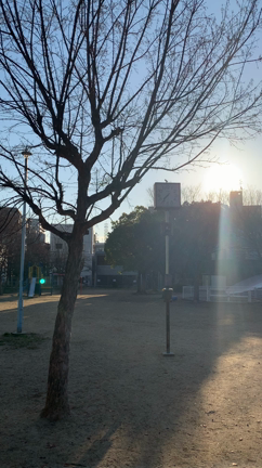 早すぎるかなの記事動画