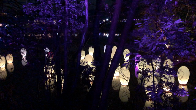 森と湖の光の祭の記事動画