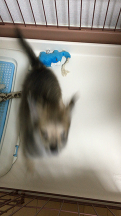元気元気♪( ´▽｀)の記事動画