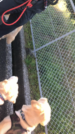 だまされやすいタイプpart２の記事動画