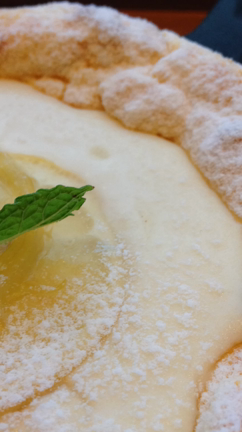 初！SAY  cheese!の記事動画