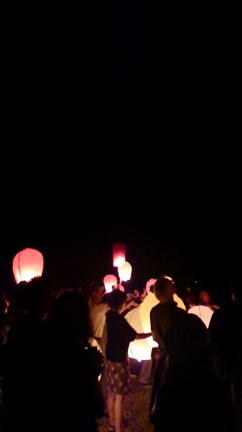 今年の夏もの記事動画