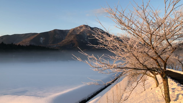 雪景色をパノラマで見るはずだったの記事動画