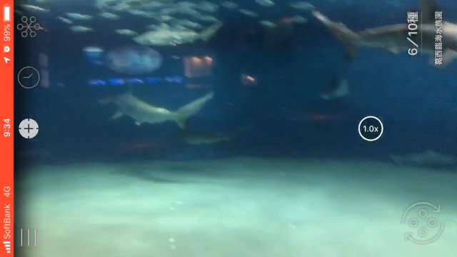 かざすAI図鑑 LINNÉ LENS  葛西臨海水族園の記事動画