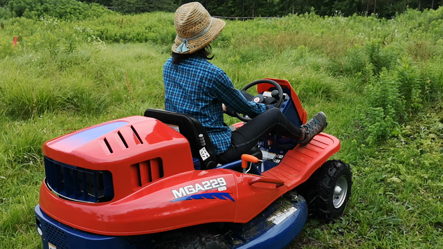 新しい相棒ですの記事動画